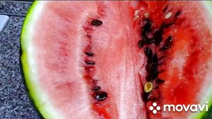 Мои вкусные запасы на зиму. Сохранился.... как только что с поля!