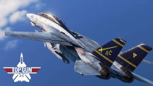 МиГ-29 против F-14 в Дальнем Воздушном Бою