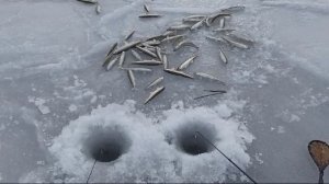 Блесна Богдановская 1 см (цыганское золото) от Mr.Musurok в деле 🎣