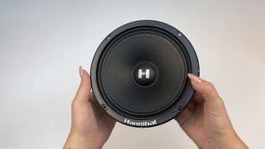 Распаковка динамиков Alphard Hannibal HM 6E