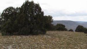 По хребту Карши Кая