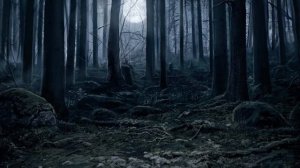 Футаж «Кошкин Дом»