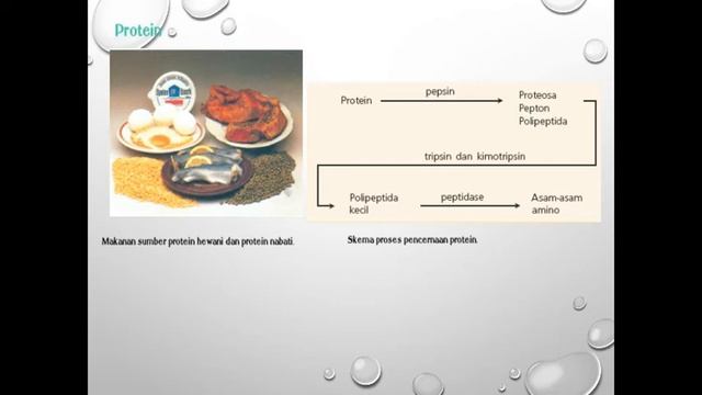 Zat-zat yang Terkandung di dalam Makanan смотреть онлайн