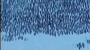 Жила была жизнь 03 serija iz 26 Zashchitniki D 1987 XviD DVDRip