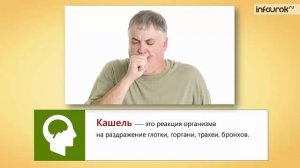 26. Регуляция дыхания. Охрана воздушной среды