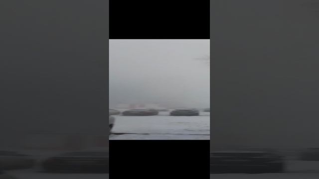 Коротко и ясно, как важно беречь природу ❄️ Ох уж эти зелёные и всякие другие 👍