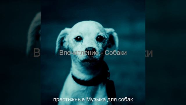 Звуки (Собаки) смотреть онлайн