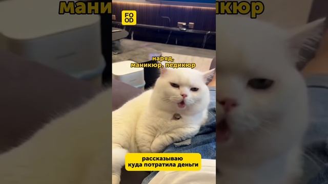 Самая популярная история в декабре😂 #foodru #рецепты #еда #юмор #прикол #смех