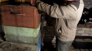 Подготовка медовых рамок для установки в улья после зимовки пчёл