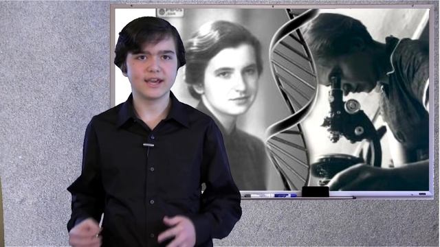 Introduction to and replication of DNA смотреть онлайн