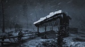 Снежная вьюга, расслабляющие звуки ветра 5 часов / Сильный ветер, дующий со снегом (отдых, сон)