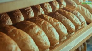 ❗6 причин НЕ есть ХЛЕБ...🥖 Чем ОПАСЕН белый ХЛЕБ?🥐 Вред хлеба...