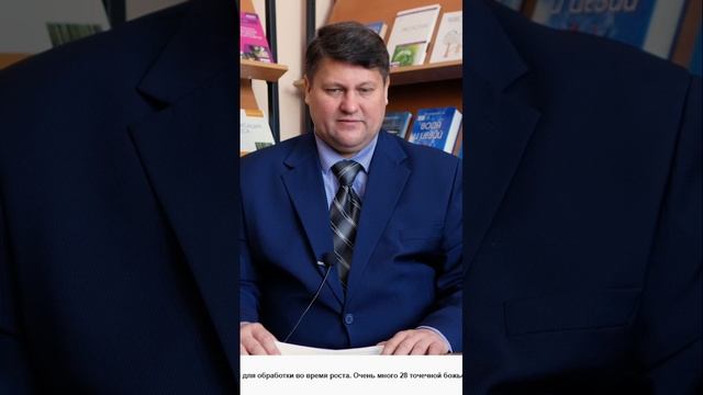 Эффективная защита картофеля от фитофторы_ Лучшие препараты