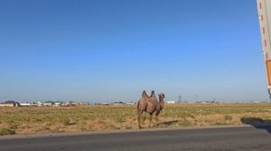 Там, где меня уже нет.