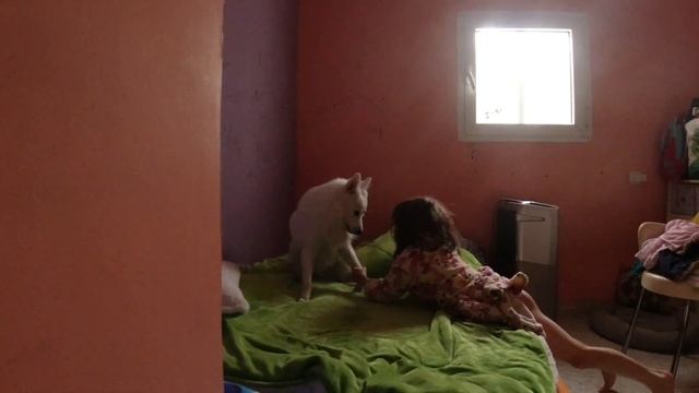 Мои питомцы, дочка и внучка. смотреть онлайн