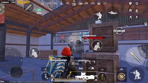 золотой петух с типа