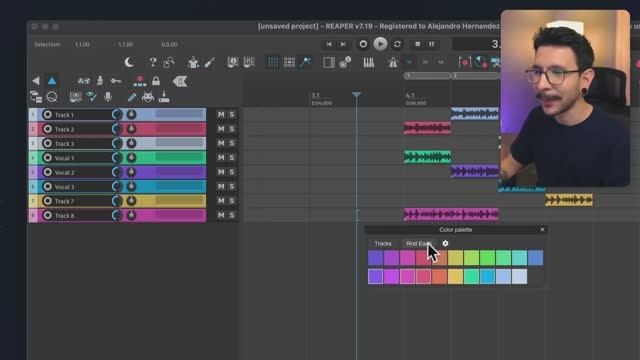 Color Palette. Reaper DAW