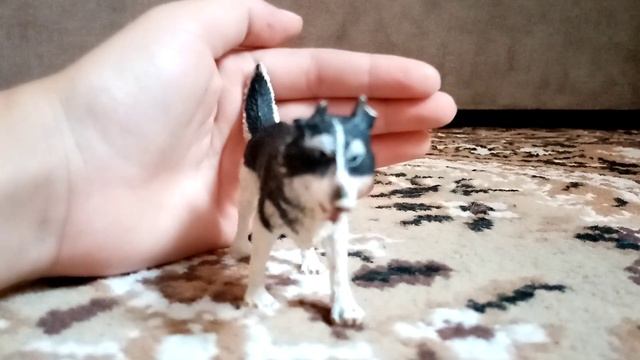 Моя коллекция собак волков лошадей и т. д