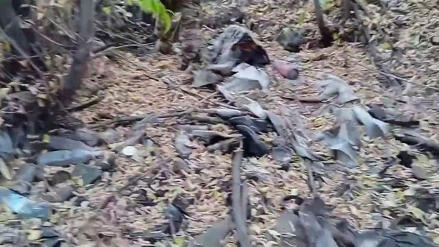 коп металла на сортировке....друг удачно копнул смотреть онлайн