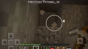 Играем с данником в майнкрафт