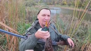 Открыли сезон охоты на куропатку.