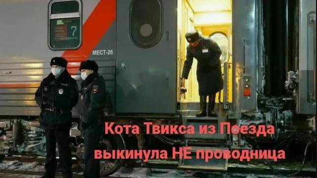 Про Кота Твикс, выкинутого из поезда. Оказалось, что выкинул кота мужик, а не проводница