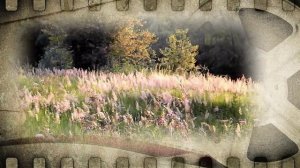 Давай сегодня о хорошем