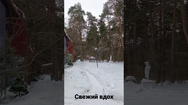 Свежий вдох