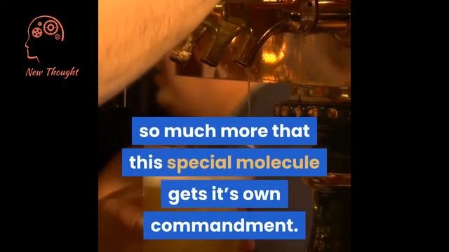 10 steps to lose belly fat смотреть онлайн