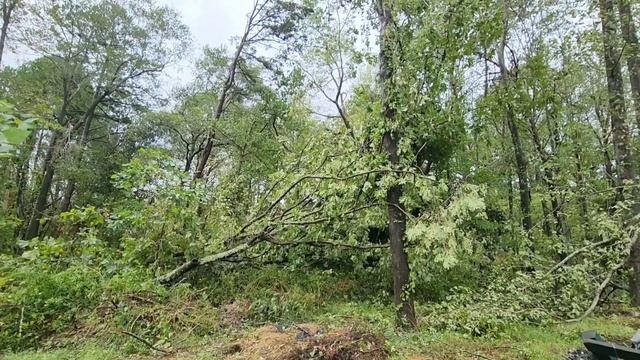 ЧТО НАТВОРИЛ УРАГАН У НАС ДОМА / АМЕРИКАНСКАЯ ДЕРЕВНЯ смотреть онлайн