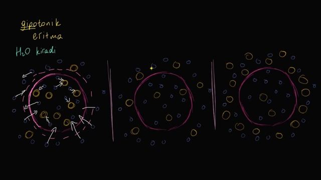 Porno bilan chegaradosh erotik filmlar