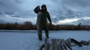 ЖОР ЩУКИ!!! ЛЕСКА ТРЕЩИТ!!! БАГОР ГНЁТСЯ!!! ПЕРВЫЙ ЛЁД 2021-2022 г.