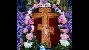 Крест для погибающих есть безумие, а для спасаемых сила Божия.. (Протоиерей Василий Хадыкин)