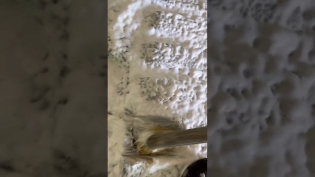 Осторожно! Крышка в говне. Не смотреть! #volkswagen #passat #tdi #мойка смотреть онлайн