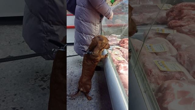 Очень важный покупатель 😄