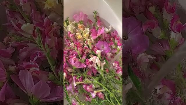 Әке. Төлен Әбдік. 2 бөлім смотреть онлайн