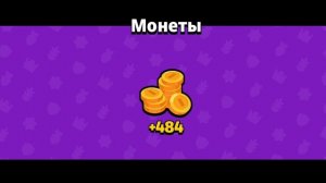 скват бастерс