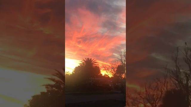 БРАТКА ПРИСЛАЛ ФЛОРИДА НОРС ПОРТ 1 ЯНВАРЯ 2024 ГОД смотреть онлайн