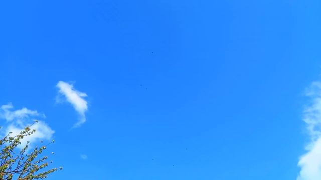 Тренировка молодых 14.05.2022