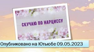 Скучаю по нарциссу (09.05.2023)