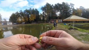 Супер рыбалка на платном водоёме. Мормышинг - рулит!