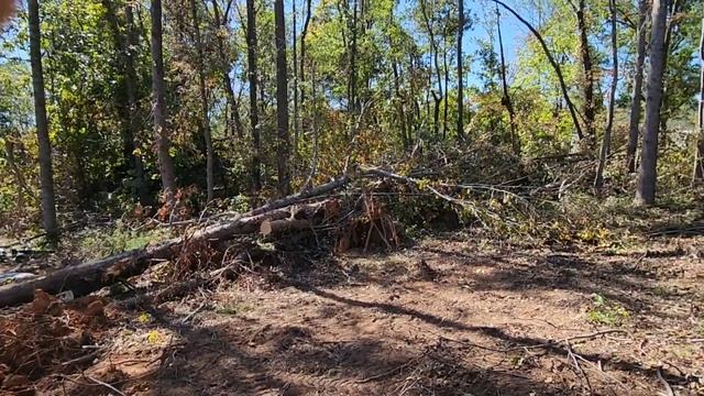 ПОСЛЕ УРАГАНА HELENE СЫНОВЬЯ ПОМОГАЮТ АМЕРИКА смотреть онлайн