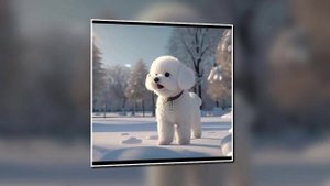 какие же собаки красивые!