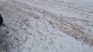 Покупка 3 машин.Вольво 780.и 2 петербилта. стук  в моторе. Приключения продолжаются. 1 Серия.поездка