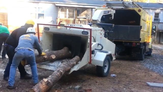 КАК В АМЕРИКЕ ПЕРЕМАЛЫВАЮТ ОГРОМНЫЕ ДЕРЕВЬЯ БРЕВНА В ЩЕПКИ / США смотреть онлайн