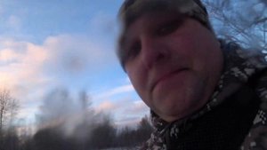 Как приучить гончую собаку к рогу не допустив ошибок.