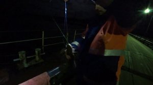 МЫ В ШОКЕ!ТАКИХ НАЛИМОВ МЫ ЕЩЕ НЕ ЛОВИЛИ!