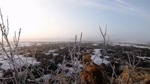 Весенняя охота на гуся 2021г.