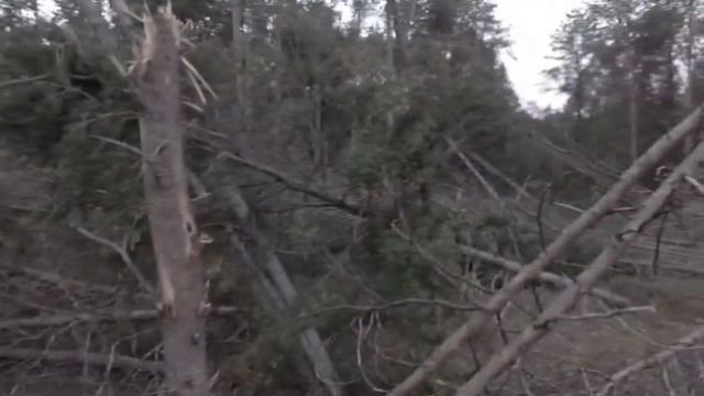 НАЧАЛИ ПОНЕМНОГУ РАЗБИРАТЬ ЗАВАЛЫ ПОСЛЕ УРАГАНА / УПАЛ С ЛЕСТНЕЦЫ / США / ДЕРЕВНЯ смотреть онлайн