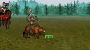 Лютый наездник на кабане